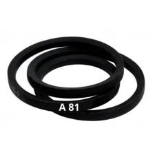 39.A81